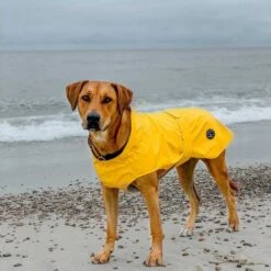 Premium Dog Booster Seat | Medium -Petkit Shop 9