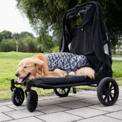 Ibiyaya Grand Cruiser Large Dog Stroller -Petkit Shop 90 fbda1177 add1 4aeb a89f 62de3161e501