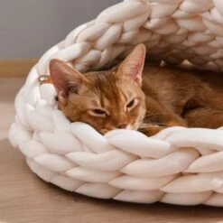 Michu Chunky Knit Soft Cat Bed Cave, Cream -Petkit Shop 92 47866967 e5a0 40c4 8f5b 32e7017799be