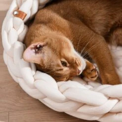Michu Chunky Knit Soft Cat Bed Cave, Cream -Petkit Shop 94 ddeab879 fad4 43d1 a885 7a487506ba4e