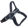 Tre Ponti Primo Adjustable Step In Dog Harness, Black -Petkit Shop 96