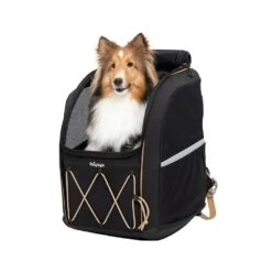 Ibiyaya Champion Large Dog Backpack, Black 16 Ibiyaya Champion Large Dog Backpack, Black -Petkit Shop 98 272578eb 7925 46ed a078 a714151150c0