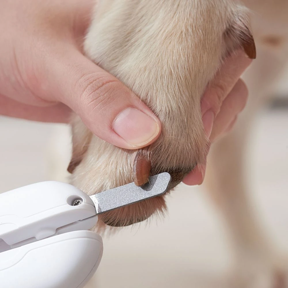 Michu LED Pet Nail Clipper 4 Michu LED Pet Nail Clipper - Image 2