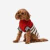 Emerson Knitted Dog Jumper -Petkit Shop 9 7c21cd9d f876 4fb4 a97b bd8de4a74dcc