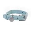 Australian Designed Boucle Dog Collar, Sage 1 Australian Designed Boucle Dog Collar, Sage -Petkit Shop Collarsage 1bc56879 5a67 490b b82f 438610c25922