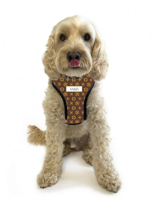 Personalised Pet Harness - Louie 7 Personalised Pet Harness - Louie - Image 5