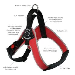 Tre Ponti Brio Adjustable Step In Dog Harness, Black -Petkit Shop TrePonti 1000px 2d087b9f 2d24 419a 8843 27f2feb01b51