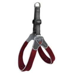 Cinquetorri Step-in Dog Harness, Red Wine