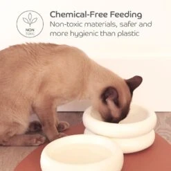 Ceramic Cat Dining Bowl - Standard -Petkit Shop ddc24211 7165 4137 8ed9 913469fb22b2