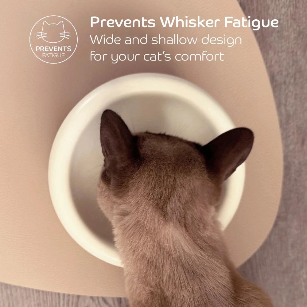 Ceramic Cat Dining Bowl - Elevated 10 Ceramic Cat Dining Bowl - Elevated - Image 8