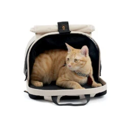 Ibiyaya Panorama Zipper-Free Small Pet Travel Carrier, Buttermilk -Petkit Shop fc2462 web 11