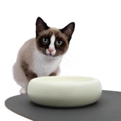 Ceramic Cat Dining Bowl - Standard -Petkit Shop fc53cd5c 45bd 4e02 95be c5733135daf6