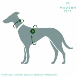 Hunter Aalborg Soft Genuine Leather Dog Harness, Dark Brown -Petkit Shop hunter international dog collar hunter aalborg soft genuine leather dog harness dark brown 14093165690983