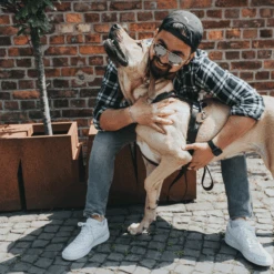 Hunter Aalborg Soft Genuine Leather Dog Harness, Dark Brown -Petkit Shop hunter international dog collar hunter aalborg soft genuine leather dog harness dark brown 31853179306183