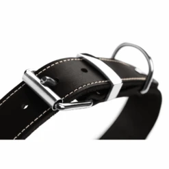 Hunter Aalborg Special Leather Dog Collar, Black 10 Hunter Aalborg Special Leather Dog Collar, Black -Petkit Shop hunter international dog collar hunter aalborg special leather dog collar black 14957008355431