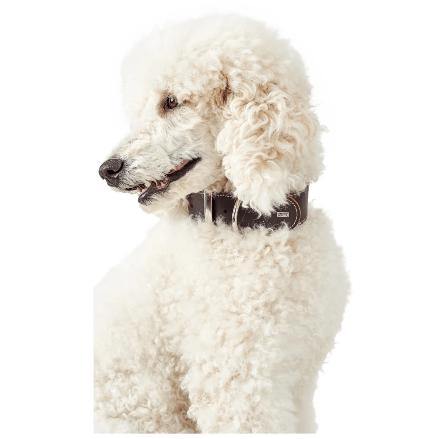 Hunter Aalborg Special Leather Dog Collar, Dark Brown 6 Hunter Aalborg Special Leather Dog Collar, Dark Brown - Image 4