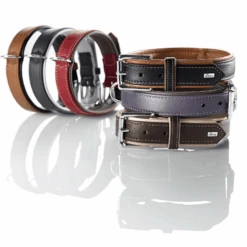 Hunter Canadian Elk Leather Dog Collar, Black -Petkit Shop hunter international dog collar hunter canadian elk leather dog collar black 6952795603047