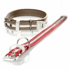 Hunter Collar Madeira Leather Dog Collar