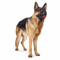 Hunter Dog Muzzle Albury -Petkit Shop hunter international dog collar hunter dog muzzle albury 28094301929671