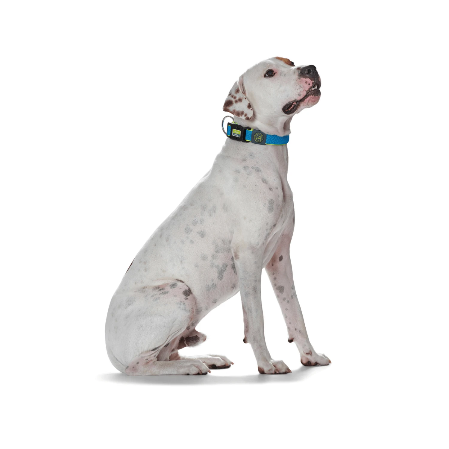 Hunter Maui Vario Plus Dog Collar Heavy Duty Clasp Buckle 8 Hunter Maui Vario Plus Dog Collar Heavy Duty Clasp Buckle - Image 6