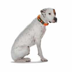 Hunter Maui Vario Plus Dog Collar Heavy Duty Clasp Buckle 19 Hunter Maui Vario Plus Dog Collar Heavy Duty Clasp Buckle -Petkit Shop hunter international dog collar hunter maui vario plus dog collar heavy duty clasp buckle 7387724415079