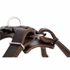 Hunter Aalborg Soft Genuine Leather Dog Harness, Black -Petkit Shop hunter international dog harness hunter aalborg soft genuine leather dog harness black 14099250675815