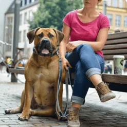 Hunter Canadian Elk Leather Dog Training Lead -Petkit Shop hunter international dog leash hunter canadian elk leather dog training lead 3 way adjustable 12191344394343