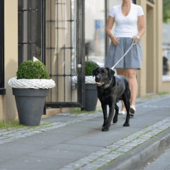 Hunter Canadian Elk Leather Dog Training Lead -Petkit Shop hunter international dog leash hunter canadian elk leather dog training lead 3 way adjustable 31855347630279