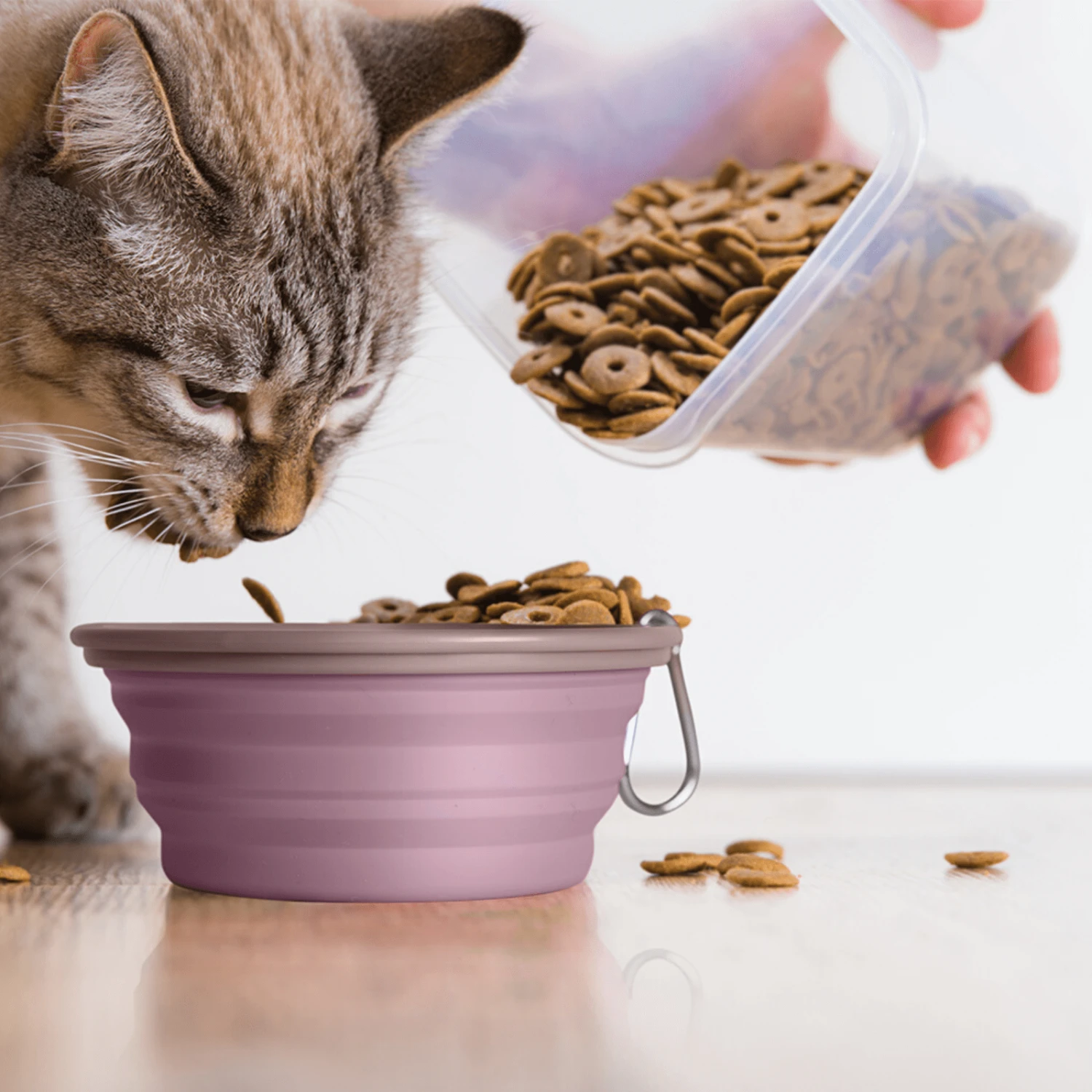 Ibiyaya Quick Bite Collapsible Dog Bowl, Brown 12 Ibiyaya Quick Bite Collapsible Dog Bowl, Brown - Image 10