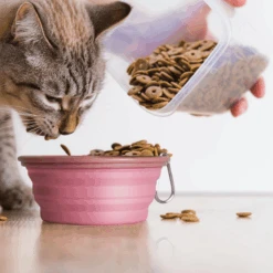 Ibiyaya Quick Bite Collapsible Dog Bowl, Pink -Petkit Shop ibiyaya pet bowl ibiyaya quick bite collapsible dog bowl pink 31856903848135