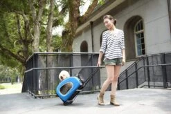 Ibiyaya EVA 4-in-1 Combo Pet Carrier On Wheels, Chocolate -Petkit Shop ibiyaya pet carrier ibiyaya eva 4 in 1 combo pet carrier on wheels chocolate 31854229946567