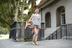 Ibiyaya EVA 4-in-1 Combo Pet Carrier On Wheels, Chocolate -Petkit Shop ibiyaya pet carrier ibiyaya eva 4 in 1 combo pet carrier on wheels chocolate 6641745231975