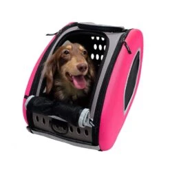 Ibiyaya EVA 4-in-1 Combo Pet Carrier On Wheels, Hot Pink -Petkit Shop ibiyaya pet carrier ibiyaya eva 4 in 1 combo pet carrier on wheels hot pink 6641758404711
