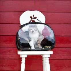 Ibiyaya Transparent Hard Case Carrier | Hard Rock -Petkit Shop ibiyaya pet carrier ibiyaya hard rock transparent hard case carrier foldable pet bag 6669003817063