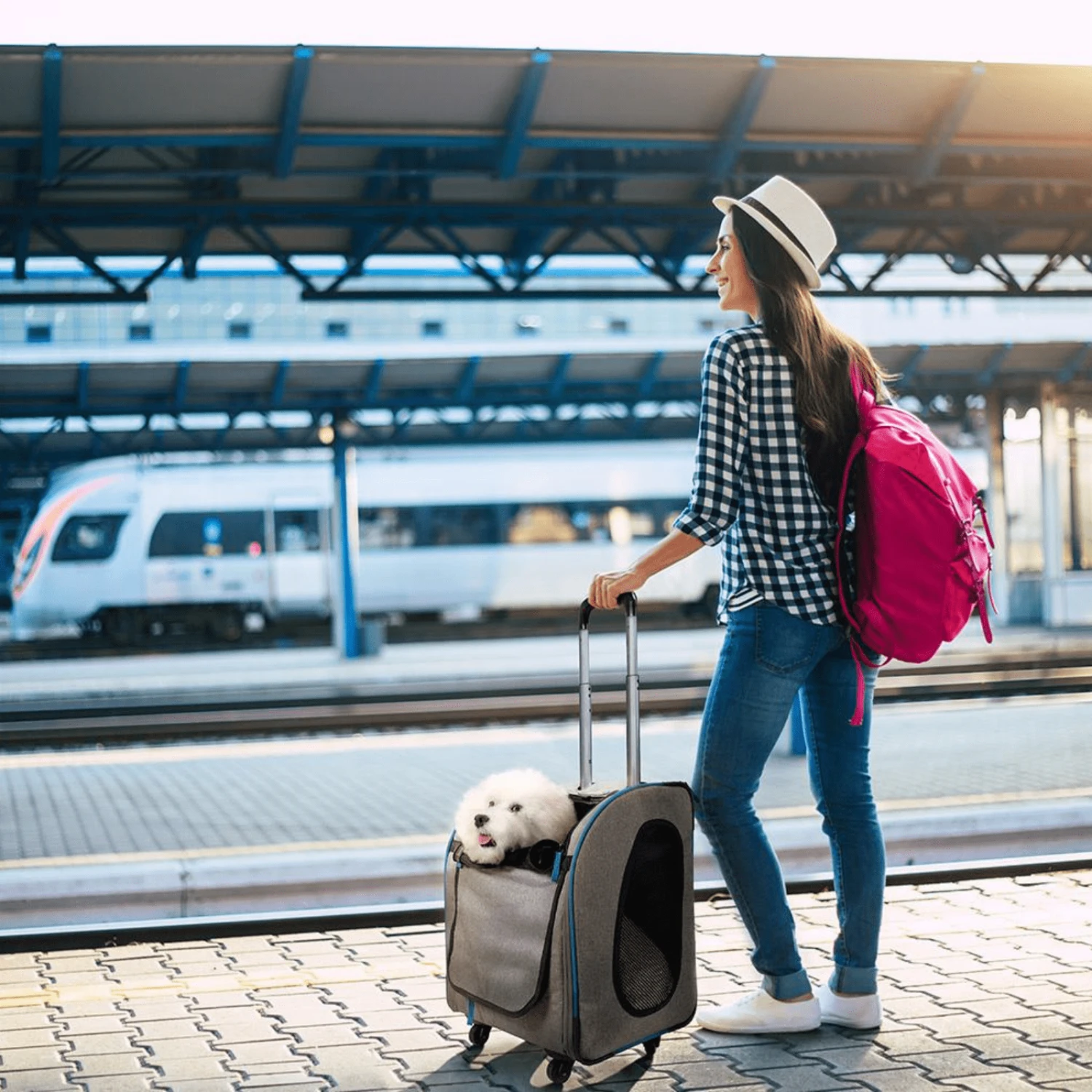 Ibiyaya Liso Backpack Trolley Pet Carrier On Wheels, Slate Sapphire 14 Ibiyaya Liso Backpack Trolley Pet Carrier On Wheels, Slate Sapphire - Image 13