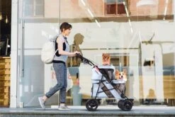 Ibiyaya Double Decker Dog Cat Bus Pet Pram, Silver Grey -Petkit Shop ibiyaya pet pram ibiyaya double decker dog cat bus pet pram silver grey 31853990019271