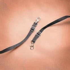 Ibiyaya Monarch Premium Pet Jogger Stroller, Luxury Gold -Petkit Shop ibiyaya pet pram ibiyaya monarch premium pet jogger stroller luxury gold 6636163367015