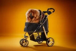 Ibiyaya Monarch Premium Pet Jogger Stroller, Luxury Gold -Petkit Shop ibiyaya pet pram ibiyaya monarch premium pet jogger stroller luxury gold 6636165333095