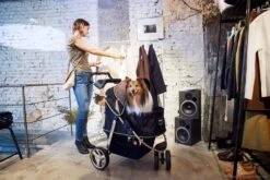 Ibiyaya Monarch Premium Pet Jogger Stroller, Luxury Gold -Petkit Shop ibiyaya pet pram ibiyaya monarch premium pet jogger stroller luxury gold 6636167069799