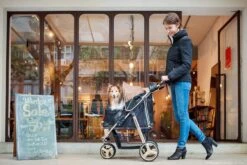 Ibiyaya Monarch Premium Pet Jogger Stroller, Luxury Gold -Petkit Shop ibiyaya pet pram ibiyaya monarch premium pet jogger stroller luxury gold 6636167331943