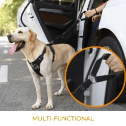 IBuddy Dog Seat Belt For Cars, Headrest Restraint With Locking Carabiner 16 IBuddy Dog Seat Belt For Cars, Headrest Restraint With Locking Carabiner -Petkit Shop ibuddy car travel ibuddy dog seat belt for cars headrest restraint with locking carabiner 13327150514279