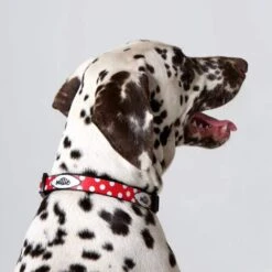 Personalised Dog Collar - Spots Red -Petkit Shop id pet dog collar personalised dog collar spots red 3907990978663