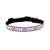 Personalised Dog Collar - Picnic Time -Petkit Shop id pet dog collar small 31 41cm personalised dog collar picnic time 3908000186471