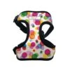 Personalised Pet Harness - Confetti
