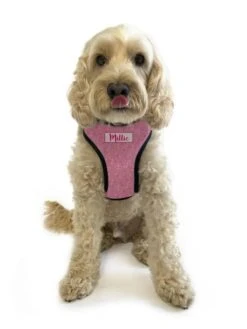 Personalised Pet Harness - Pink Sprinkles -Petkit Shop id pet pet harness personalised pet harness pink sprinkles 36961414807771