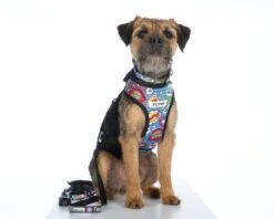 Personalised Pet Harness - Superhero Comic -Petkit Shop id pet pet harness personalised pet harness superhero comic 37001228550363