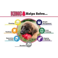 Kong Extreme Classic Black - Ultra Tough Dog Chew Toy -Petkit Shop kong dog toy kong extreme classic black ultra tough dog chew toy 14057449816167