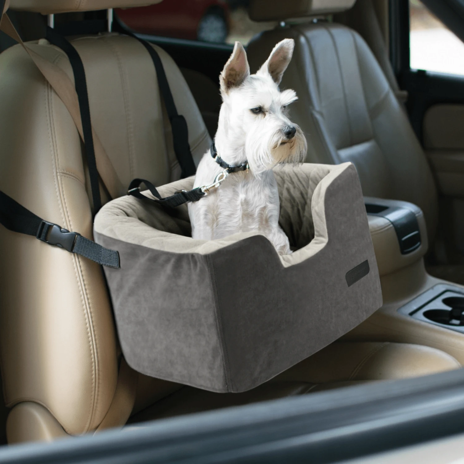 Quilted Dog Booster Seat For Small Pets 4 Quilted Dog Booster Seat For Small Pets - Image 2