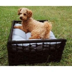 Hondje Outdoor Wicker Rope Elevated Dog Bed Small 11 Hondje Outdoor Wicker Rope Elevated Dog Bed Small -Petkit Shop modern pets dog bed hondje outdoor wicker rope elevated dog bed small 37005794312411