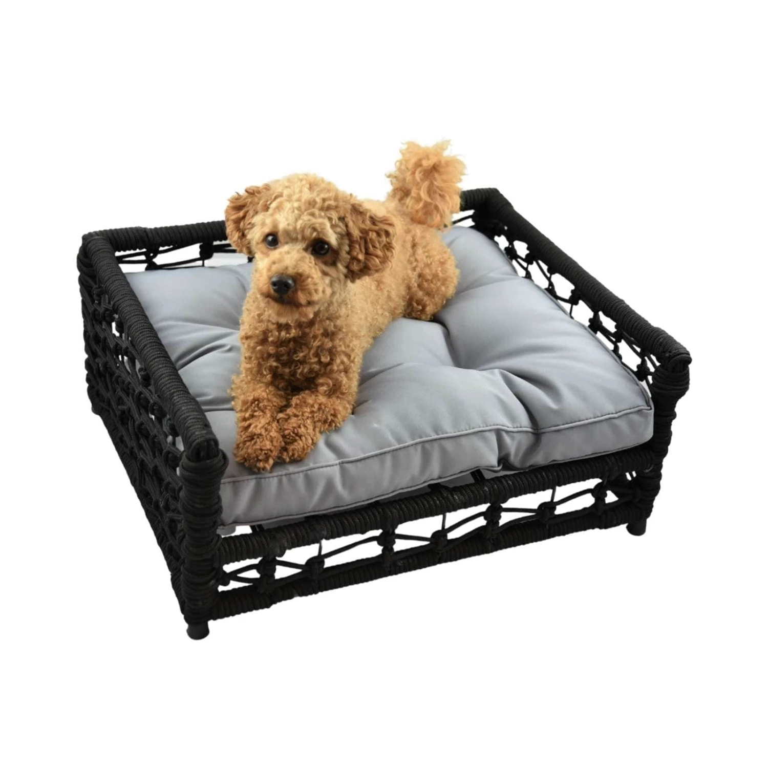 Hondje Outdoor Wicker Rope Elevated Dog Bed Small 6 Hondje Outdoor Wicker Rope Elevated Dog Bed Small - Image 4